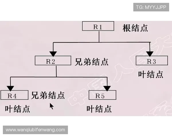怎么开发波胆预测模型避坑防骗高频玩法指南