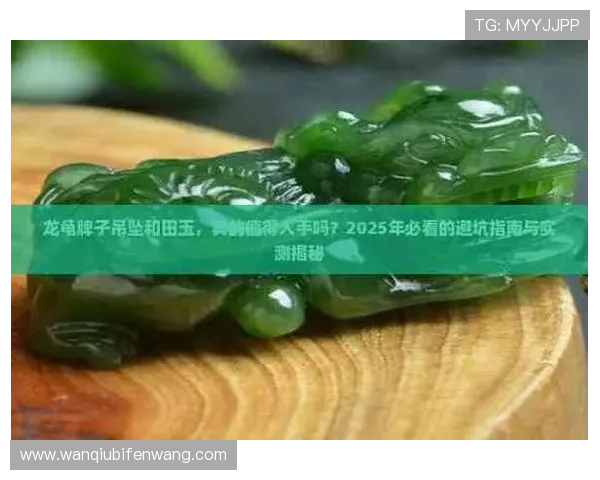 玩球看盘口技巧避坑指南平台对比防骗